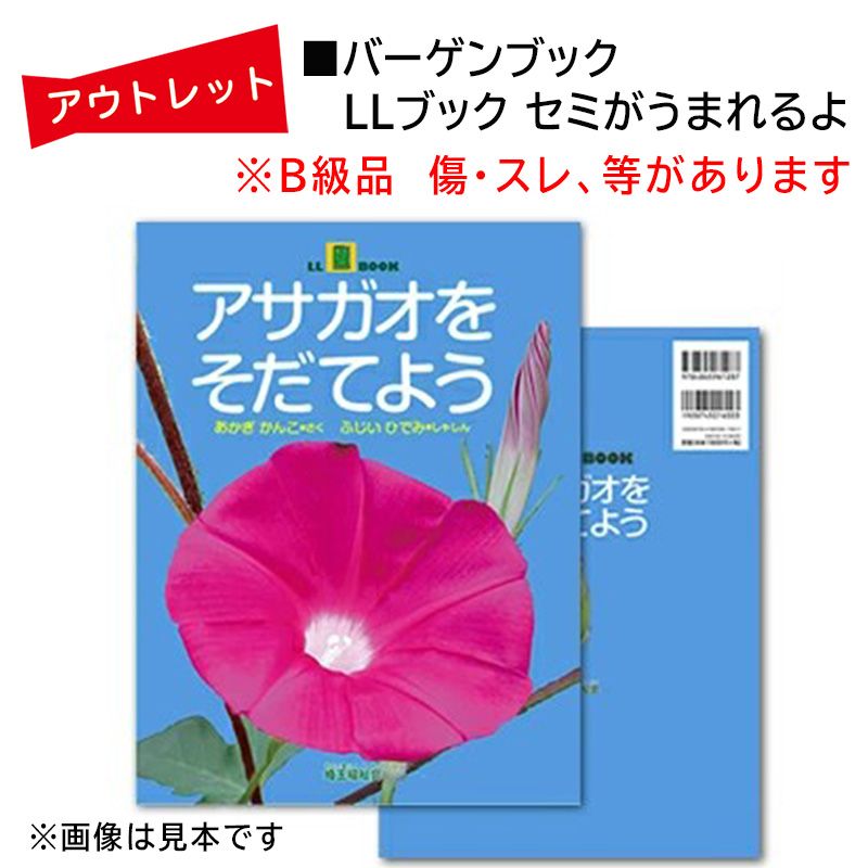 ĎڎBʡLL֥å򤽤Ƥ褦פ 󤳺դ ҤǤ߼̿ С֥å ʡ ե䤵-LL֥å