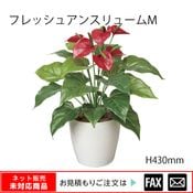 �����޿͹���ʪ���ե�å��奢�󥹥�塼�ࡡM�� W380��D380��H430mm����webshop̤�б������䤤��碌������