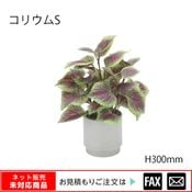 �����޿͹���ʪ�����ꥦ�� S��W230��D230��H300mm����webshop̤�б������䤤��碌������