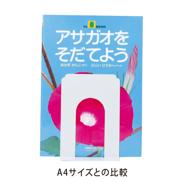 �֥å�����ɡʾ��ˣ͡��饤�ȥ֥롼��2�ģ���