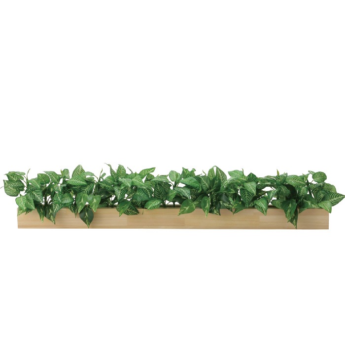 åɥܥåڣСե꡼󡡸޿͹տʪ