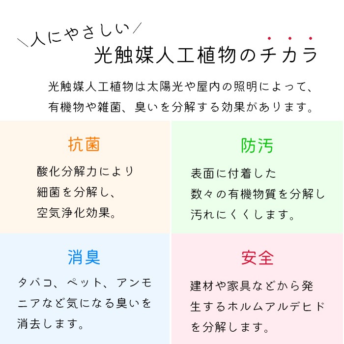 ���åɥܥå����ӣ̡��ե��������꡼�󡡸����޿͹����տ�ʪ