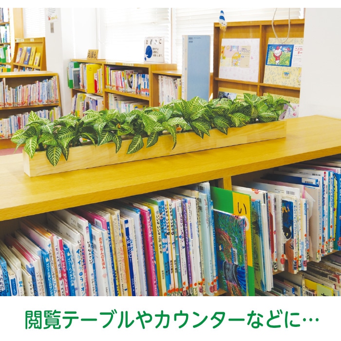 åɥܥå̡ե꡼󡡸޿͹տʪ