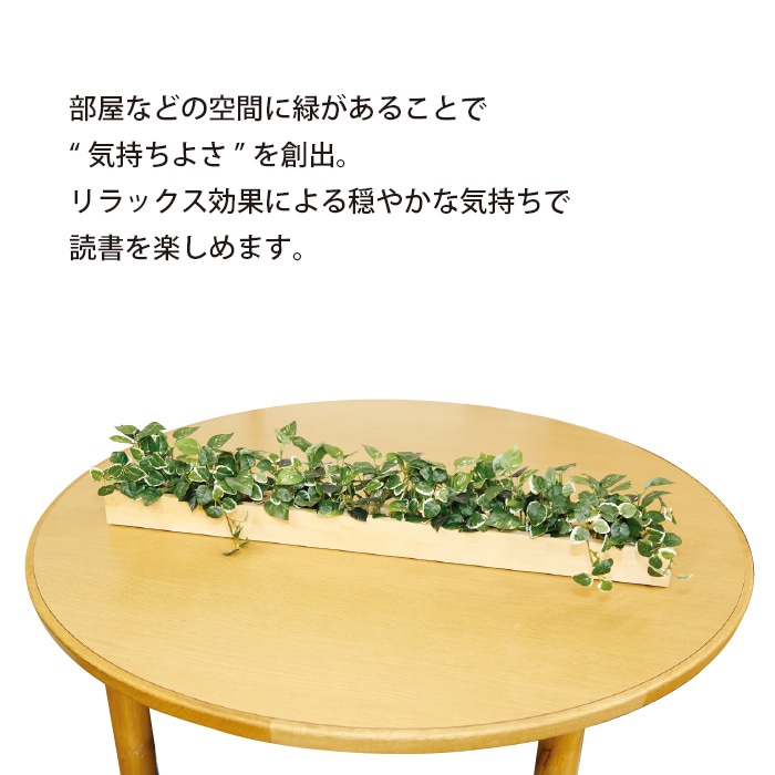 åɥܥå̡ե꡼󡡸޿͹տʪ