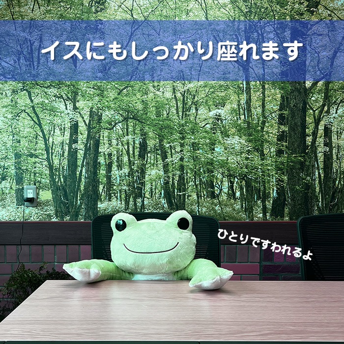 ��2552-3100�ˤ�����ʽ�ʥԥ��륹�� L�����Υ����� ����43cm/����42.5cm/�¹�45cm