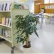 �����޿͹���ʪ�ե�å���ݡ���ݥȥ�����webshop̤�б������䤤��碌������