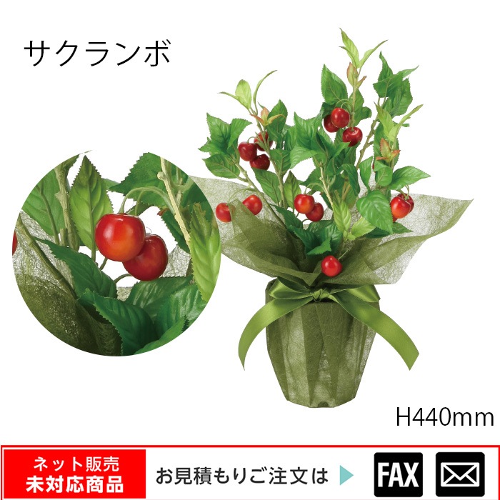 �����޿͹���ʪ���������� W280��D250��H440mm����webshop̤�б������䤤��碌������