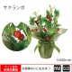 �����޿͹���ʪ���������� W280��D250��H440mm����webshop̤�б������䤤��碌������