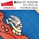 �����Ďڎ��ġ�IKEA �饰 FLYGTUR�ʥե꡼���ȥ������133cm��160cm��΢�̤˼㴳�β��Ѥ���