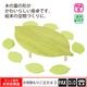 �꡼�պ���꡼��ʺ������դ��ˡ���webshop̤�б������䤤��碌������