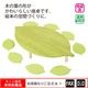 �꡼�պ���꡼��ʺ������դ��ˡ���webshop̤�б������䤤��碌������