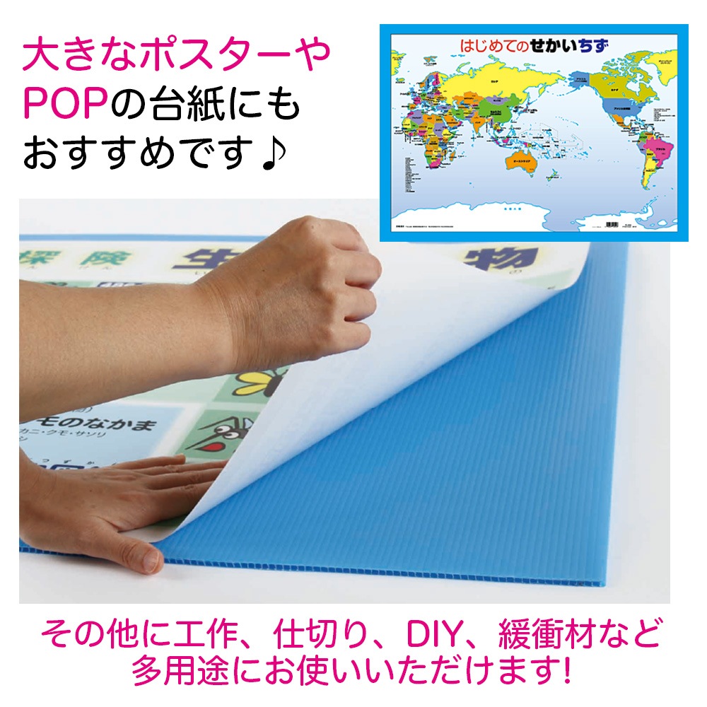 �����Ďڎ��ġ��ץ���󥷡��Ⱦ� ����A3��������301��420mm ��4mm