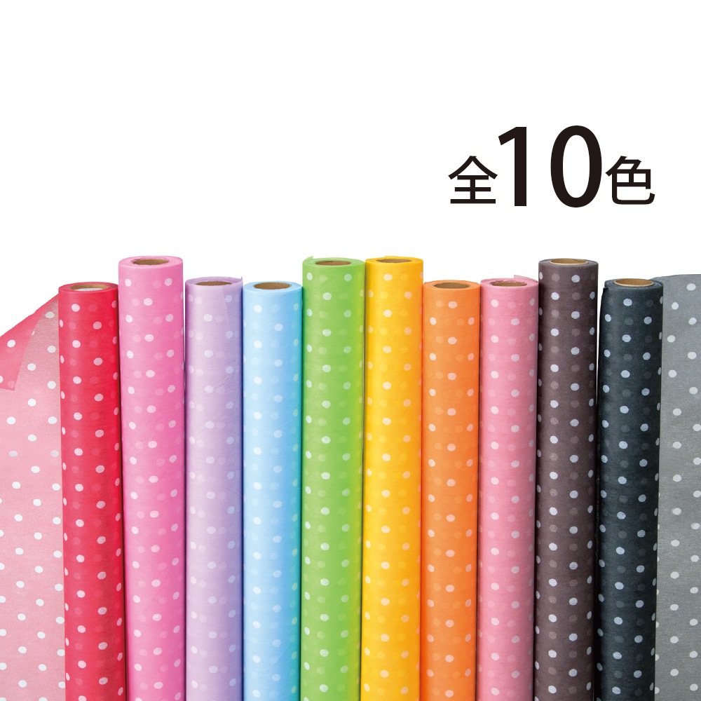 �Կ��ۥݥ륫�ɥåȡ���10���������