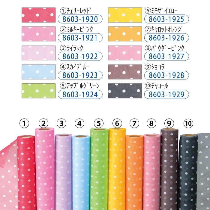 �Կ��ۥݥ륫�ɥåȡ���10���������