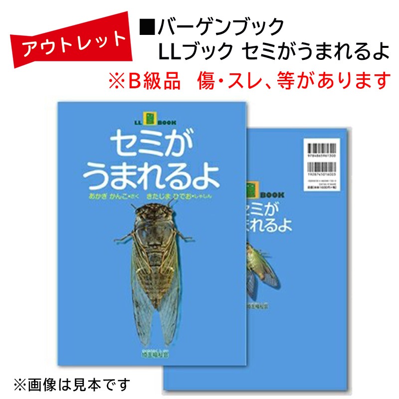 �����Ďڎ���B���ʡ�LL�֥å������ߤ����ޤ���פ����� ���󤳺�������� �ҤǤ��̿� �С�����֥å� ���ʡ��� �����ե����䤵����������-LL�֥å�