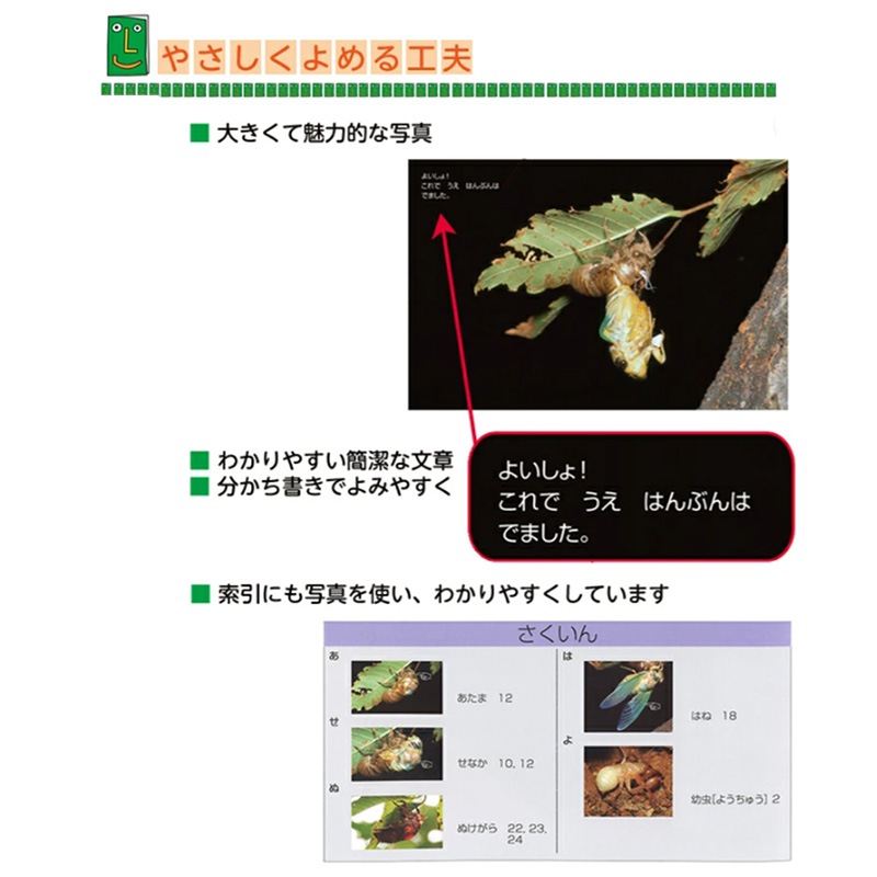 �����Ďڎ���B���ʡ�LL�֥å������ߤ����ޤ���פ����� ���󤳺�������� �ҤǤ��̿� �С�����֥å� ���ʡ��� �����ե����䤵����������-LL�֥å�