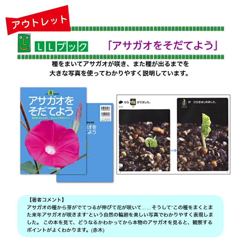 ĎڎBʡLL֥å򤽤Ƥ褦פ 󤳺դ ҤǤ߼̿ С֥å ʡ ե䤵-LL֥å