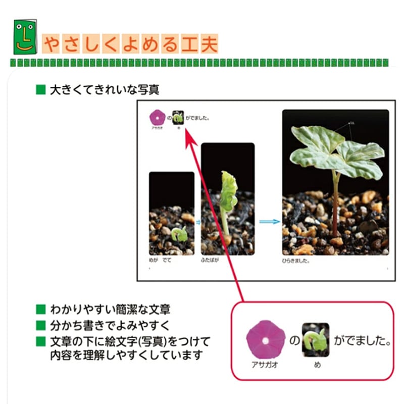 ĎڎBʡLL֥å򤽤Ƥ褦פ 󤳺դ ҤǤ߼̿ С֥å ʡ ե䤵-LL֥å