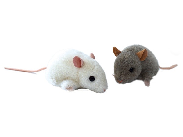 最終値下げ、ネズミ型ぬいぐるみ グレーとホワイト Amazon.co.jp: Lhcn021 13インチ ソフト スモール グレー ネズミ