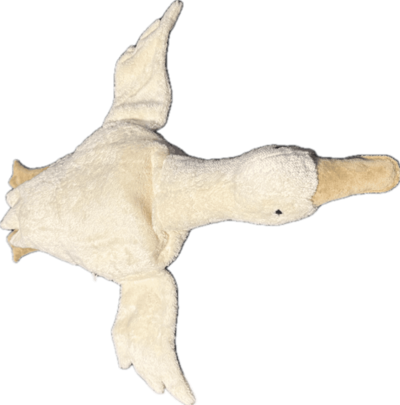 ���󥬡���Cuddly Animal �����礦��L