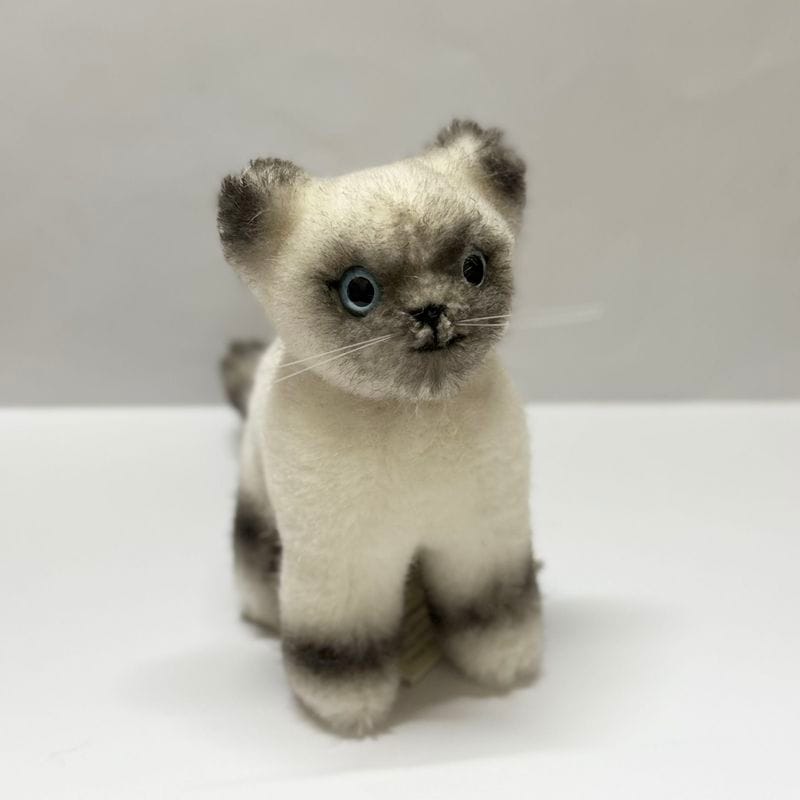 �������󡡥ޥ����åȥ����ǭ