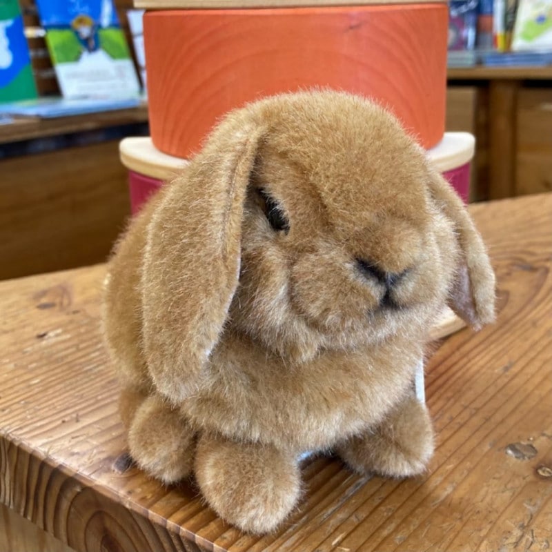 �������� ���켪�������λҡ���