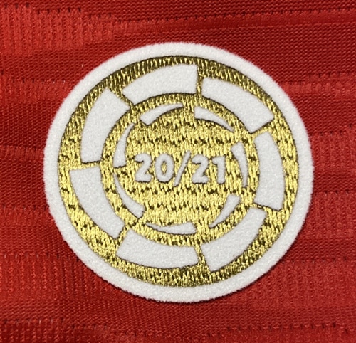 ȥƥޥɥ꡼ 2020-21꡼ͥѥå