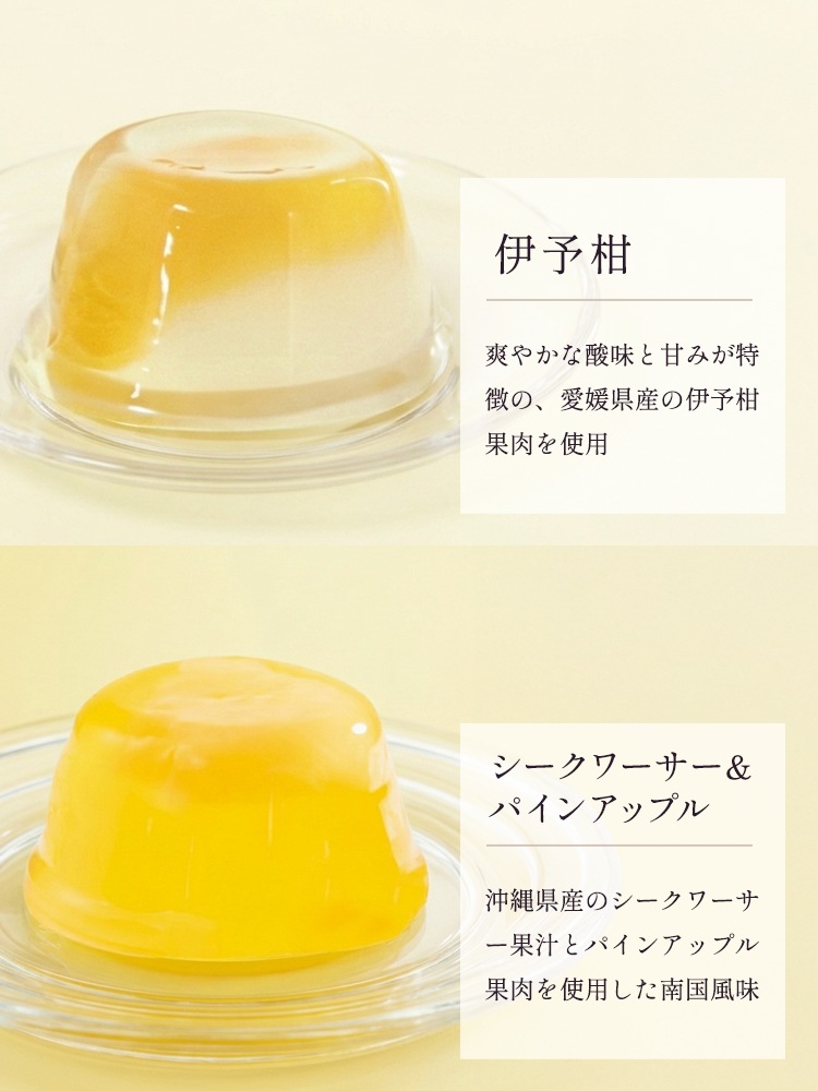 果実めぐり 12個入り(JM-C) | すべての商品 | ブールミッシュ 公式