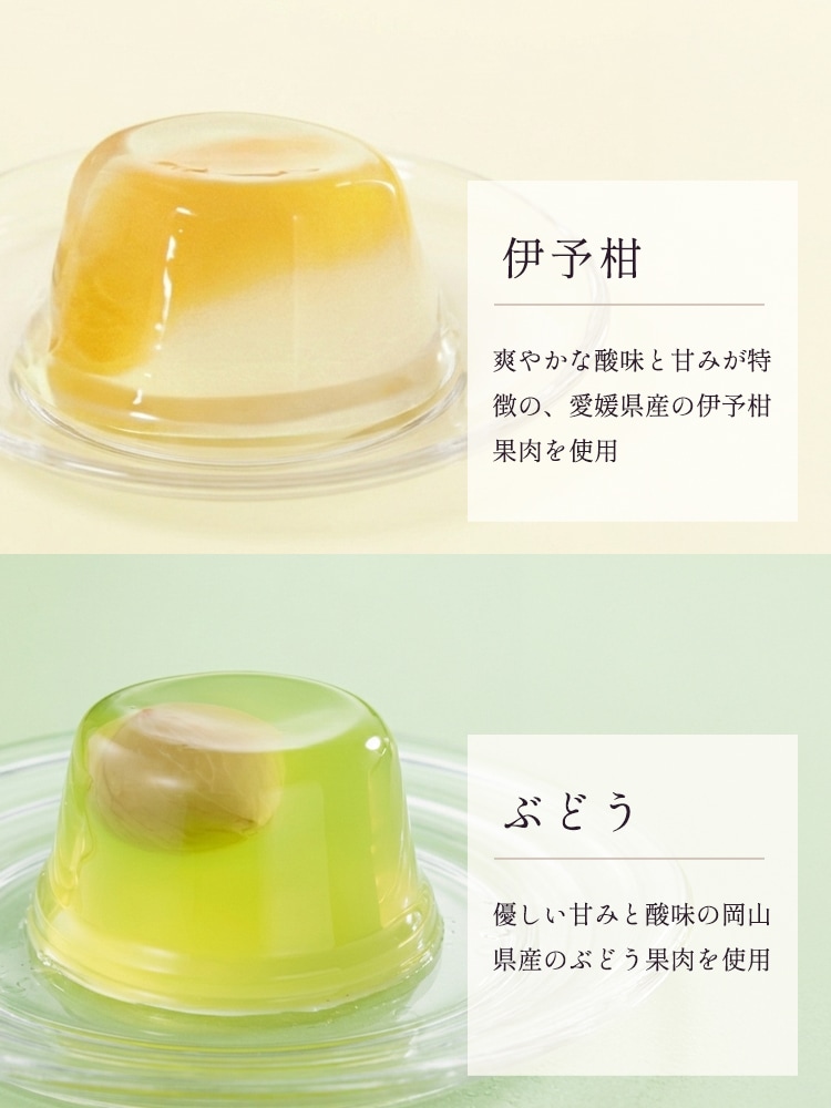 サマー・ギフト 16個入り(YPS-A) | すべての商品 | ブールミッシュ