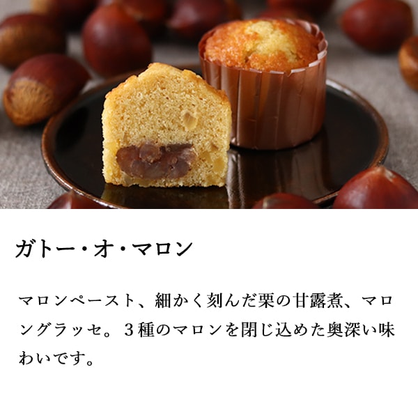 kamyu様　ミニチュア　マフィン、ブッシュドノエルセット キット『ブッシュ・ド・ノエル』と『お菓子の家』フランス