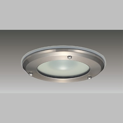 LEDEM30603HM || LED非常用照明器具 東芝 専用形 埋込HACCP高天