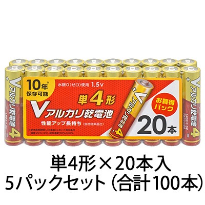 LR03VS20P【単4形×20本入 5パックセット/合計100本】【お得なセット