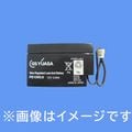 BGF9902011 || ͽ���Ÿ� Panasonic(�ѥʥ��˥å�) DC12V 800mAh (������:BGF990201) [mw]
