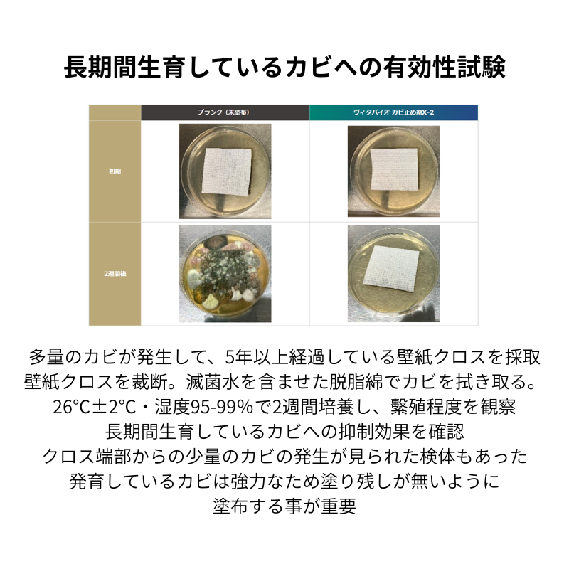 ヴィタバイオ カビ止め剤X-2 14L缶 3.5L缶 屋内外兼用 下地処理剤 大阪