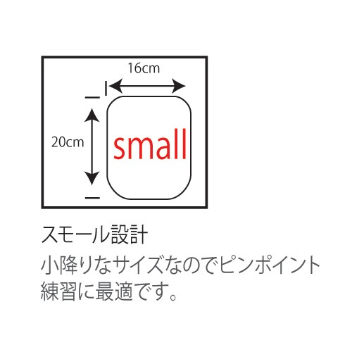 IBX-09 ѥ󥰥ߥå (Ǽ6