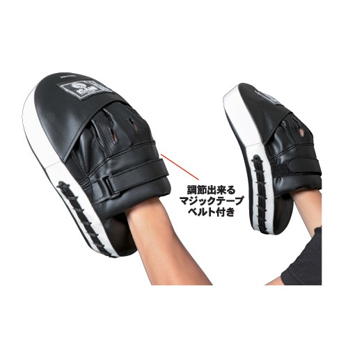 FS-10 �ѥ���󥰥ߥå�TS