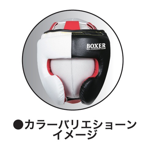 IBX-2800 ���顼���ߥ������� �ܥ������إåɥ�����(Ǽ����7��8�����