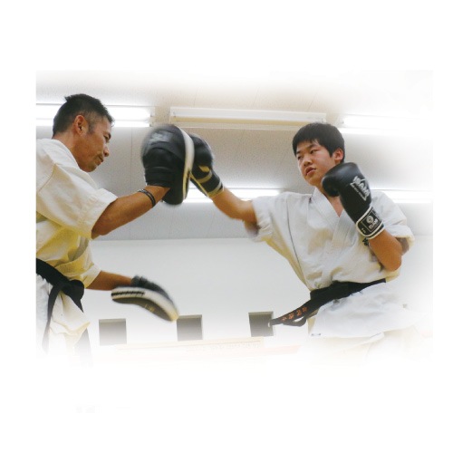 FS-10 �ѥ���󥰥ߥå�TS