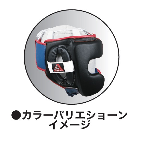 IBX-2800 ���顼���ߥ������� �ܥ������إåɥ�����(Ǽ����7��8�����