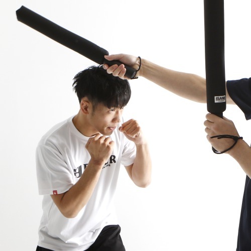 SS-800 ���ƥ��å��ߥå� (2��1��)