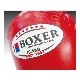 BOXER�ܥ����󥰥�������