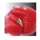 BOXER�ܥ����󥰥�������