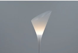 Light brings life into full bloom��Bouquet ��