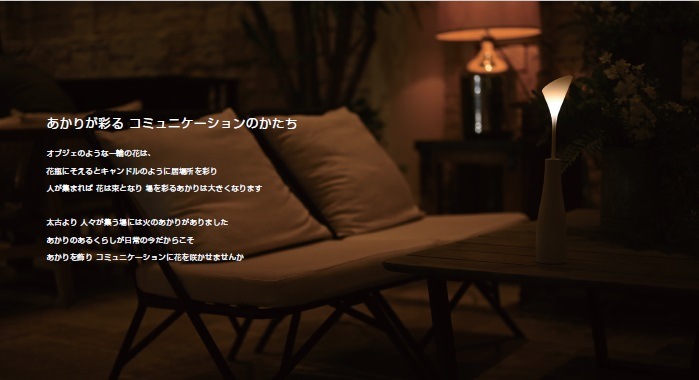 Light brings life into full bloom��Bouquet ��