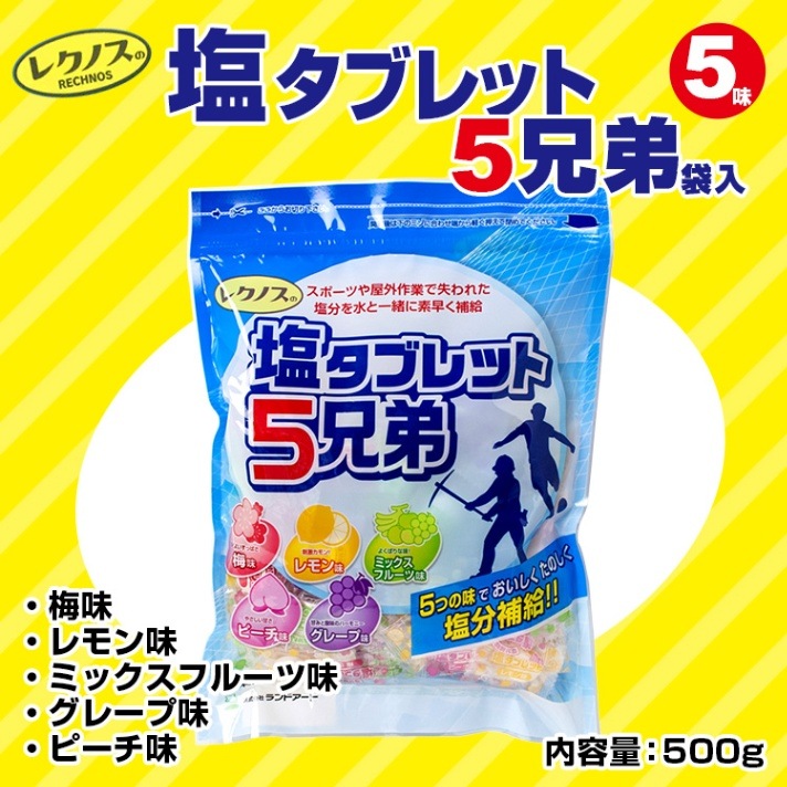 レクノスの塩タブレット5兄弟（袋入タイプ）500g （梅、グレープ