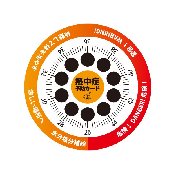 BR-555NC ⵡǽ䴶 ӥǮͽɥդ