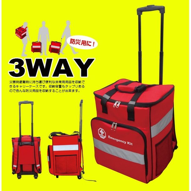 BR-751N ӥ 顼ХåñΡ3way