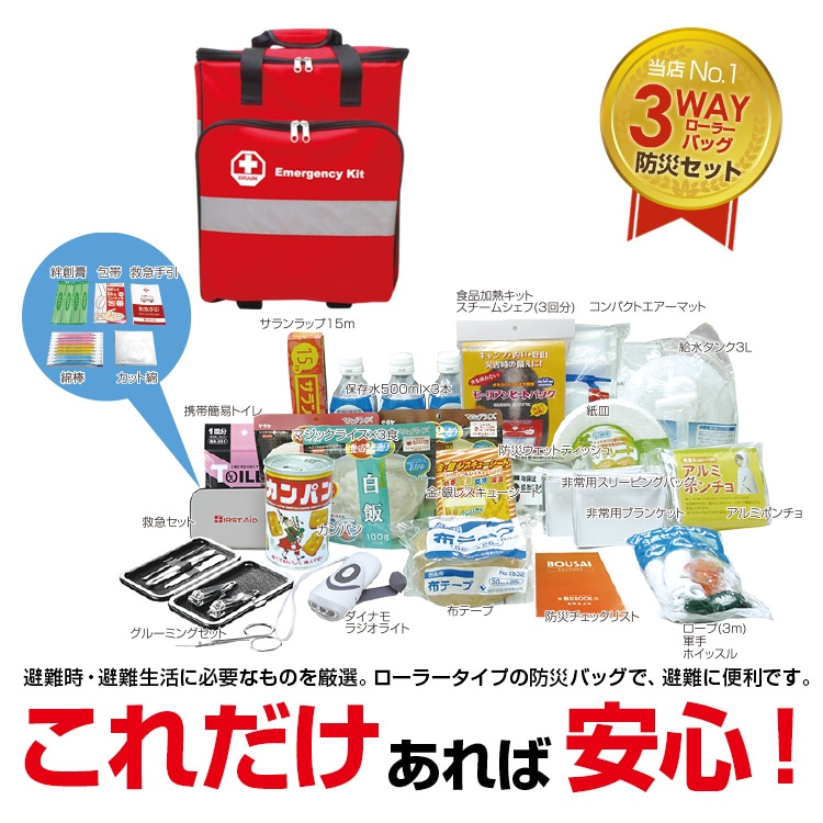 BR-903N �����顼�Хå��ɺҥ��Х��Х륻�å�