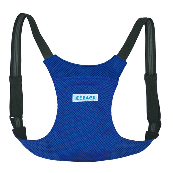 BR-530 �������Хå�(R) II��������դ���