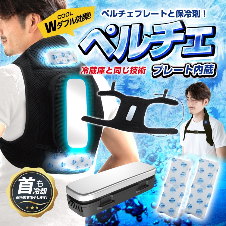 BR-730 �������Хå��ڥ����(����ޡ�2����)��